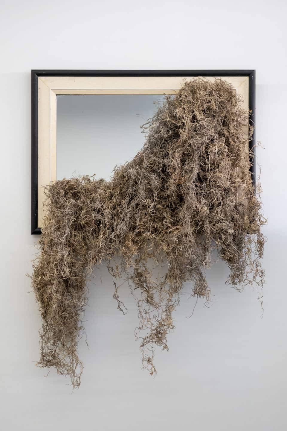 Peculiar Movements/Green Junctions at NAMARA projects